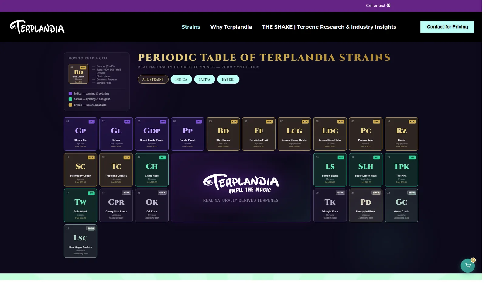 Terplandia screenshot