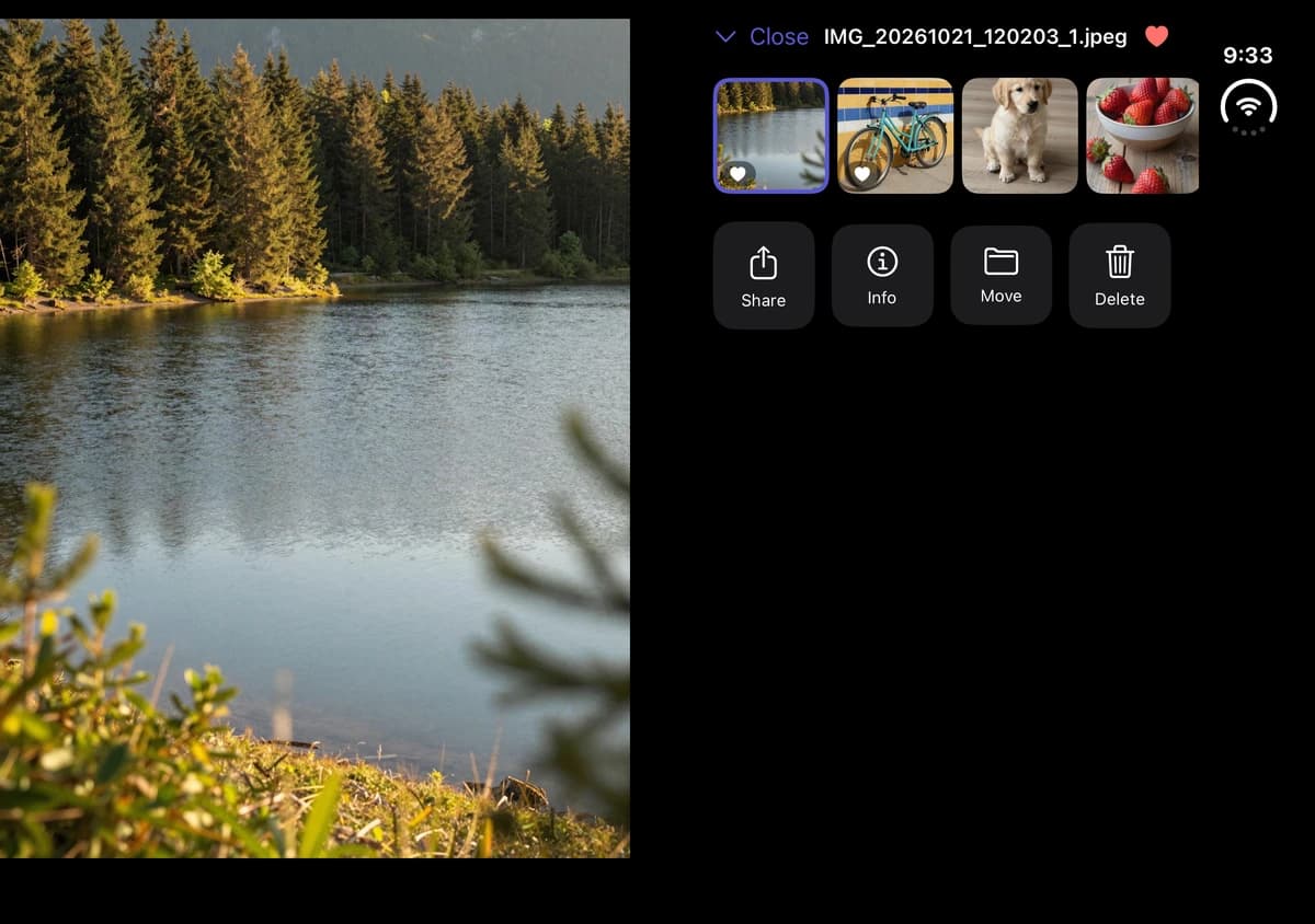 The actual partially open Vault Max Duo viewer with a lake photograph beside its filmstrip and Share, Info, Move and Delete actions.